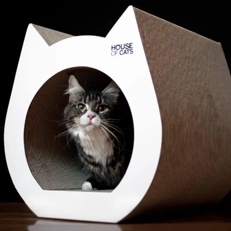 tekturowy drapak dla kota z funkcją domku z kotem w środku 