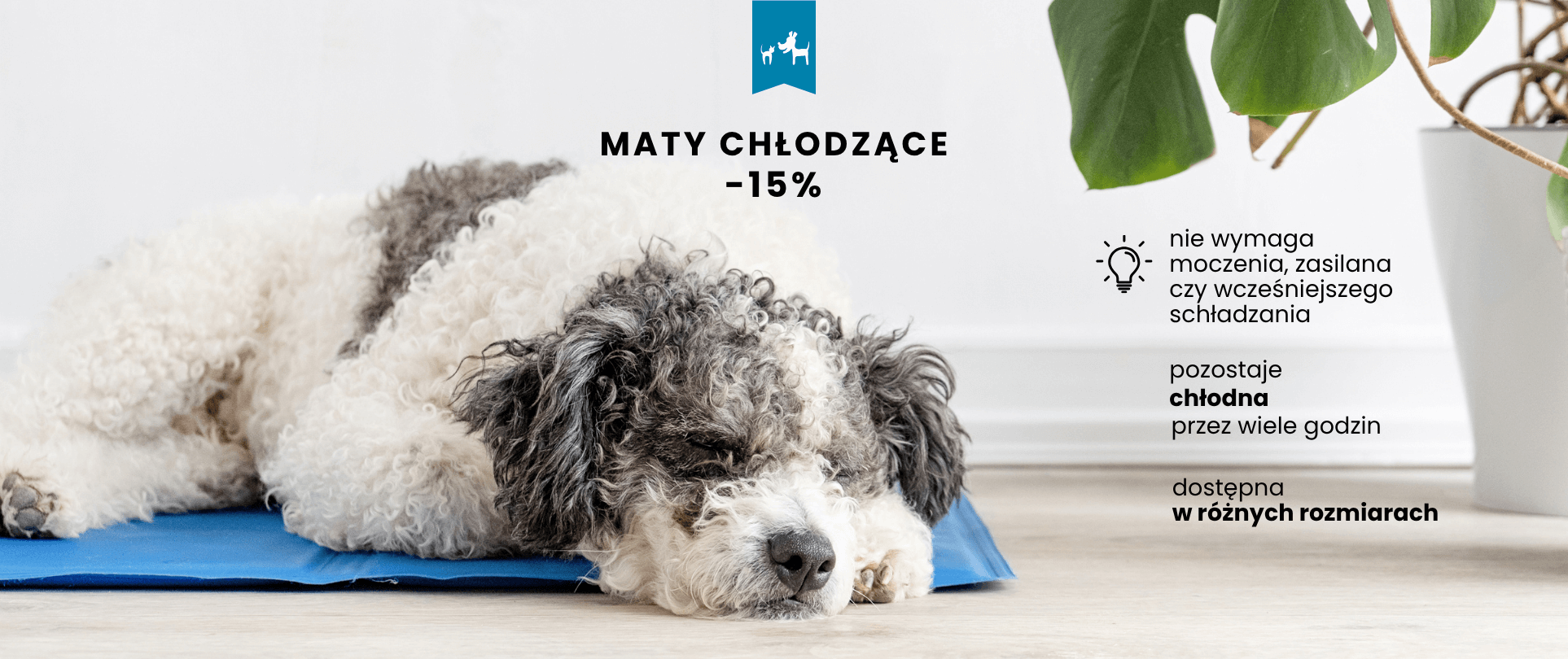 mata chłodząca dla psa