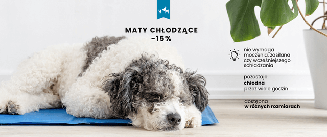 mata chłodząca dla psa