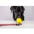 sylikonowa piłka dla psa neonowa