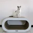 duży kartonowy dwupoziomowy drapak dla kota o owalnym kształcie na którym siedzi kot