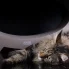 kot leżący przy drapaku z tektury elipso eco
