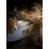 kot śpiący na tekturowym ekologicznym drapaku elipso