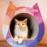 kolorowy domek dla kota ekologiczny drapak