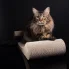 drapak sofa eco na którym siedzi kot