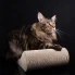 kartonowy drapak dla dużego kota z funkcją legowiska sofa