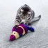 zabawka dla kota ze sznurka do samodzielnej zabawy  drapania i zapasów