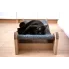 czarny kot na tekturowym hamaku 2