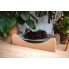 czarny kot na tekturowym hamaku 3