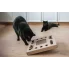 czarny kot bawiący się zabawką tobby