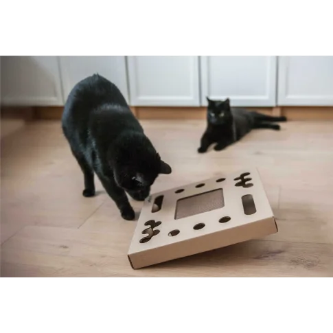 czarny kot bawiący się zabawką tobby