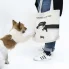 JK9 dachshund tote bag bawełniana toba dla miłośników jamników