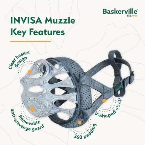 kaganiec Baskerville INVISA infografika cechy kagańca