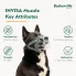 kaganiec Baskerville INVISA infografika zalety kagańca