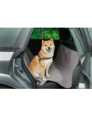 Jak przewozić psa w samochodzie zgodnie z przepisami?
