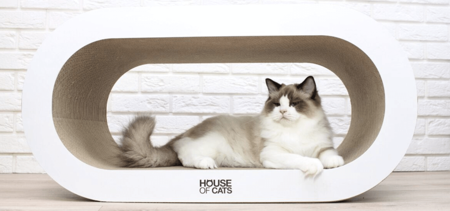 dwupoziomowy owalny drapak dla kota z tektury Bench z białymi detalami leżącym kotem