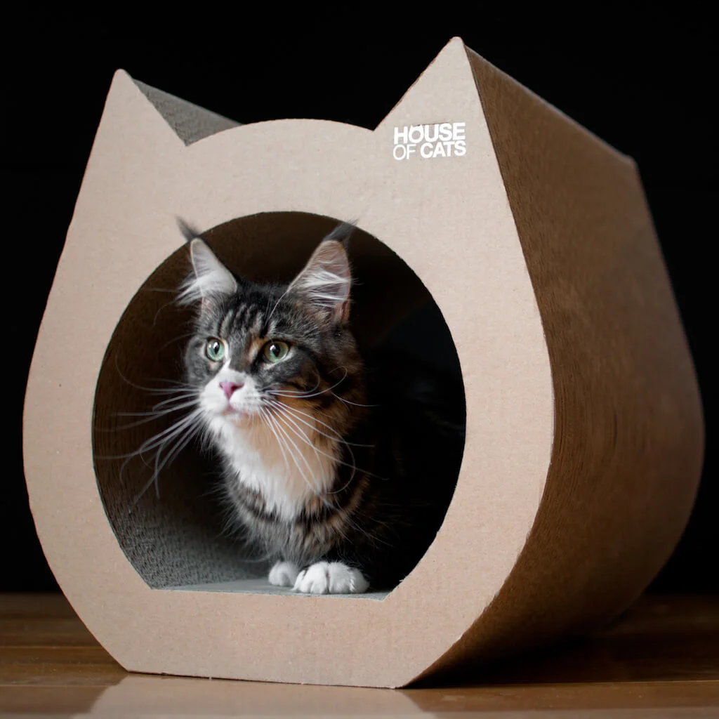 drapak dla kota z tektury z funkcją domku w kolorze eco i kotem w środku