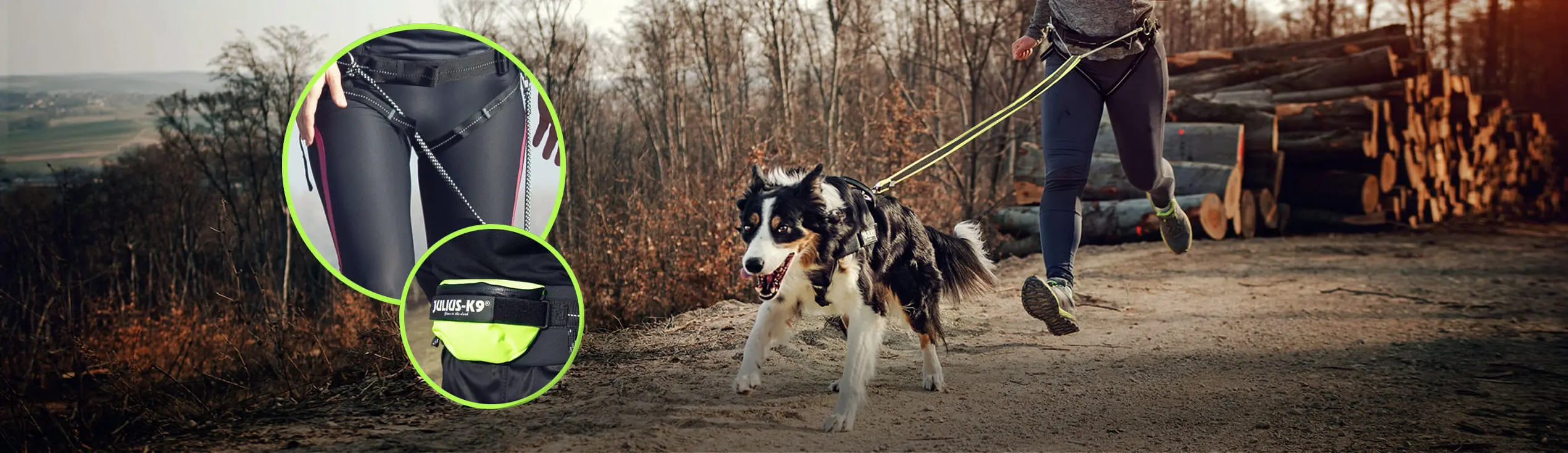 zestaw do biegania z psem i pies biegnący z przewodnikiem