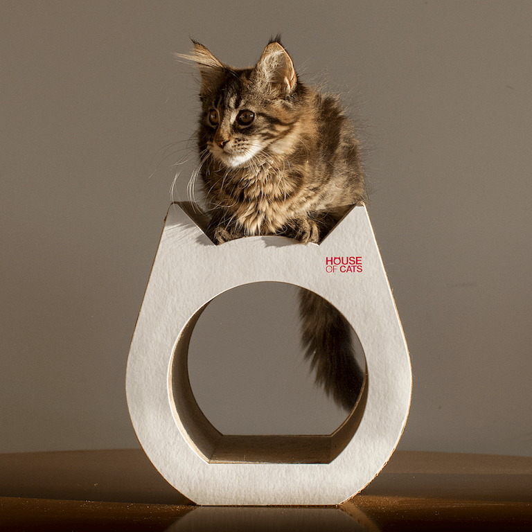 tekturowy drapak Small Cat w kształcie głowy kota z kotkiem na górze