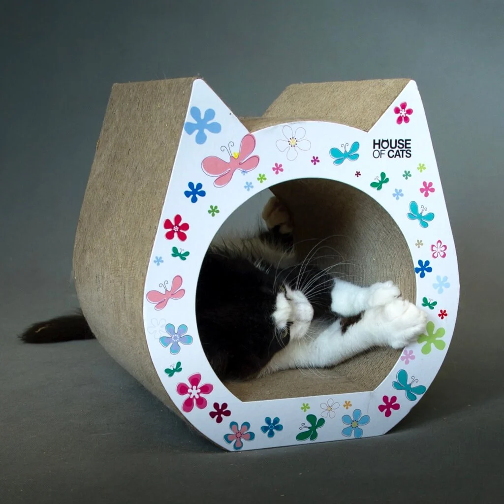 drapak z tektury dla małego kota w kształcie uszu kota z kolorowym nadrukiem z przodu
