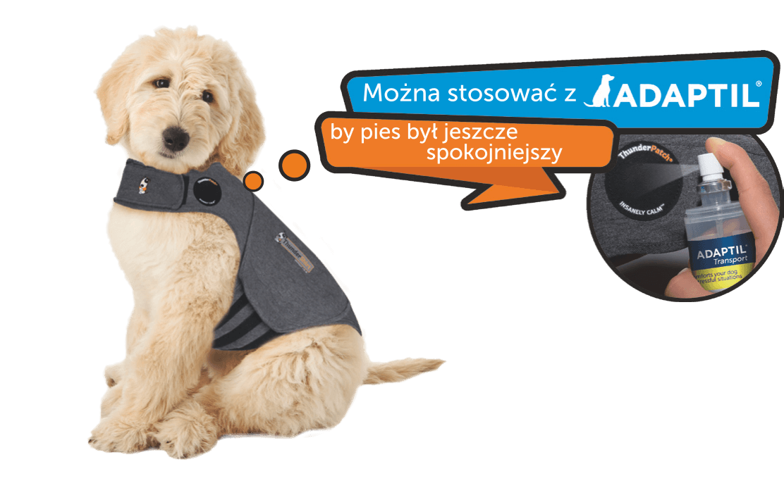 stosowanie z Adaptil - gdzie spryskać